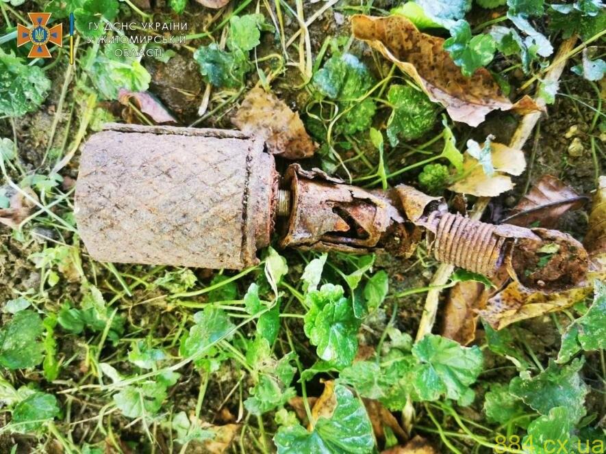 На Житомирщині любителі «тихого полювання» натрапили на мінометну міну та ручну гранату, — ФОТО На Житомирщині любителі «тихого полювання» натрапили на мінометну міну та ручну гранату, — ФОТО