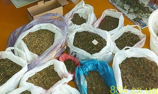 На Житомирщині правоохоронці оголосили підозри наркодилеру На Житомирщині правоохоронці оголосили підозри наркодилеру