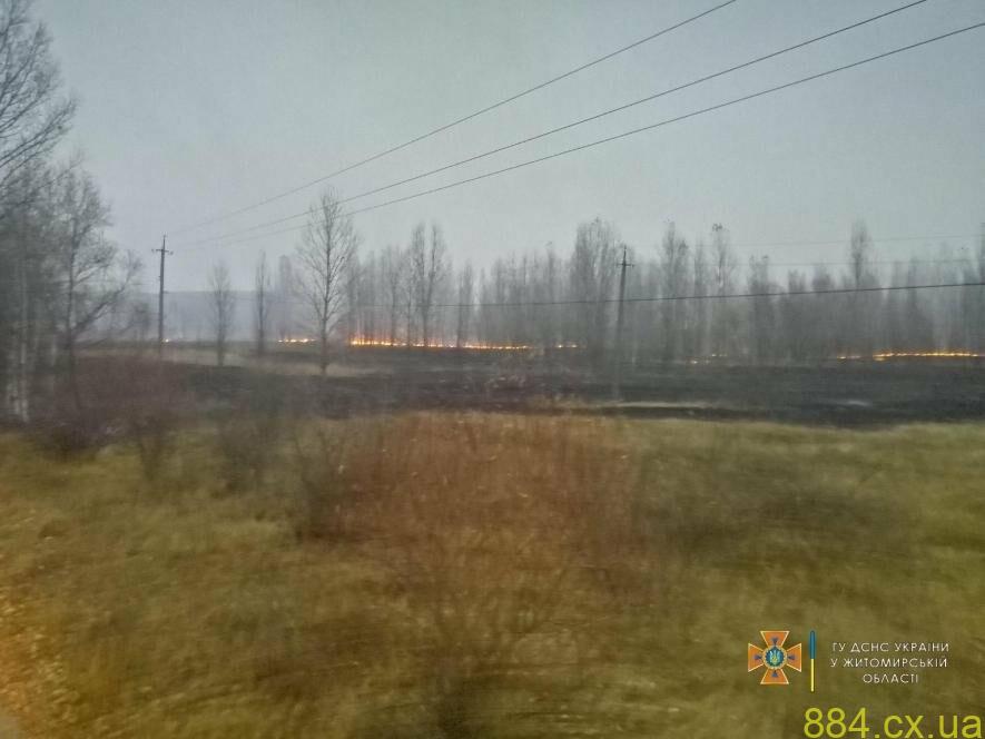 За добу вогнеборці Житомирщини ліквідували два займання сухої трави За добу вогнеборці Житомирщини ліквідували два займання сухої трави