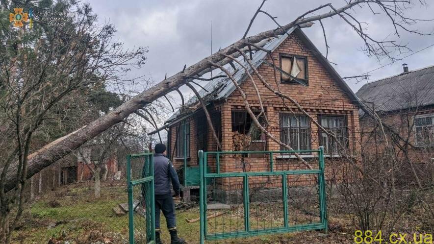 На Житомирщині рятувальники прибрали два дерева, що впали на дах приватної оселі