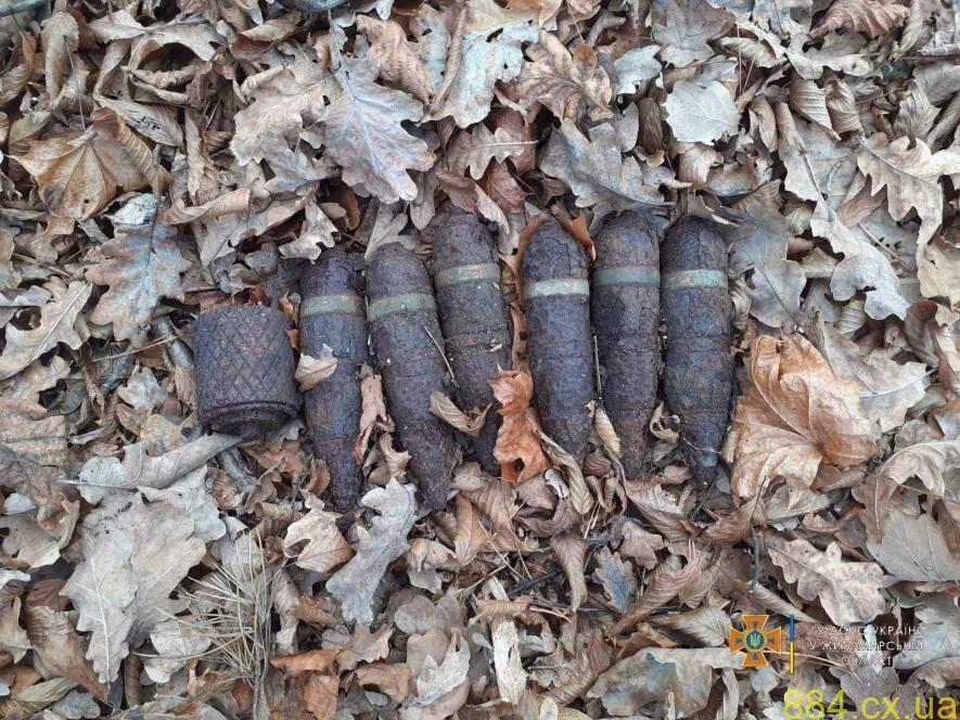 На Житомирщині шукачі металувиявили в лісових масивах сім артснарядів та ручну гранату На Житомирщині шукачі металувиявили в лісових масивах сім артснарядів та ручну гранату