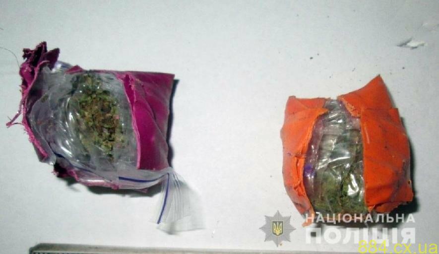 На Житомирщині поліцейські затримали 21-річного «закладчика» наркотиків На Житомирщині поліцейські затримали 21-річного «закладчика» наркотиків