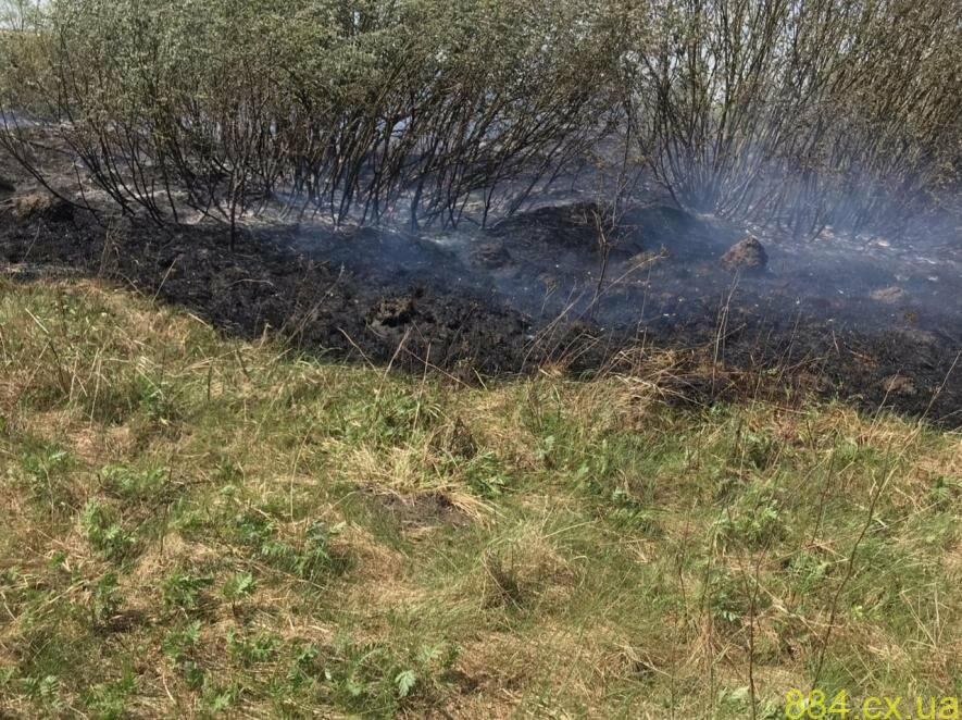 За минулу добу рятувальники Житомирщини ліквідували 13 пожеж на відкритій території За минулу добу рятувальники Житомирщини ліквідували 13 пожеж на відкритій території