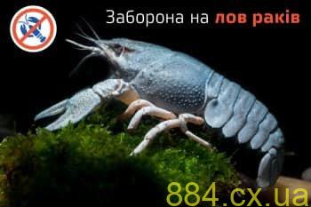 Увага! З 1 серпня діятиме заборона на вилов річкових раків Увага! З 1 серпня діятиме заборона на вилов річкових раків