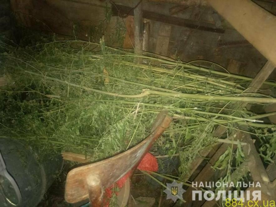 За вирощування конопель жителю чоловіку на Житомирщині загрожує ув’язнення За вирощування конопель жителю чоловіку на Житомирщині загрожує ув’язнення