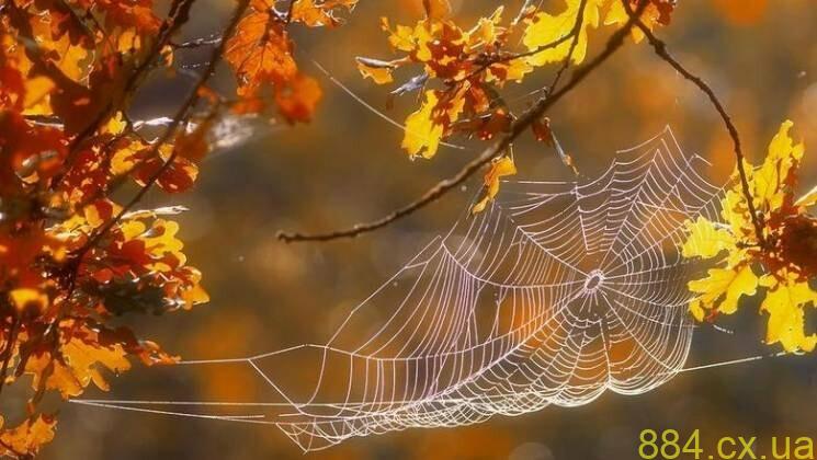 Куди піти в Житомирі: добірка цікавих заходів на 12-16 вересня Куди піти в Житомирі: добірка цікавих заходів на 12-16 вересня