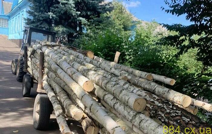 На півночі Житомирщини поліцейські з’ясовують обставини чергового випадку незаконної порубки лісу На півночі Житомирщини поліцейські з’ясовують обставини чергового випадку незаконної порубки лісу