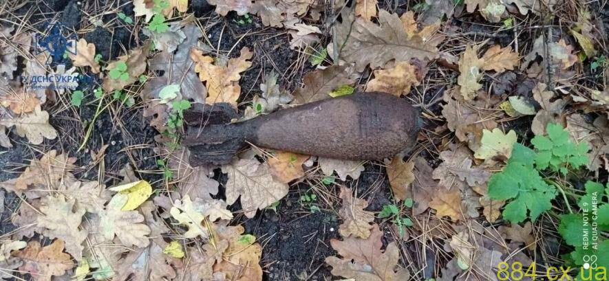 Упродовж останніх трьох діб піротехніки Житомирщини знищили 6 вибухонебезпечних предметів Упродовж останніх трьох діб піротехніки Житомирщини знищили 6 вибухонебезпечних предметів