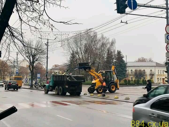 З тротуарів та проїжджої частини в Житомирі частково прибирають їжаки