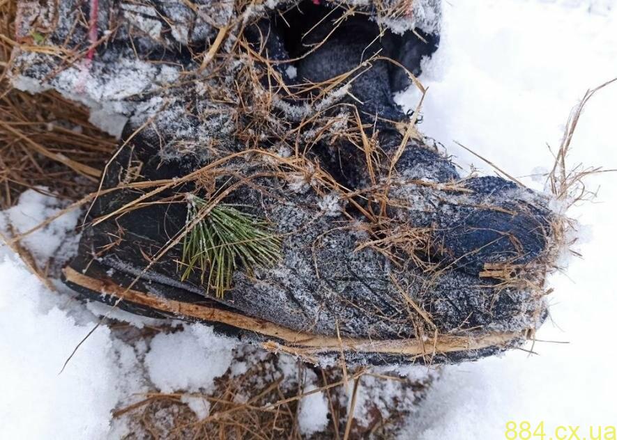 На Житомирщині встановлюють особу померлого, знайденого у лісі у Станишівській громаді