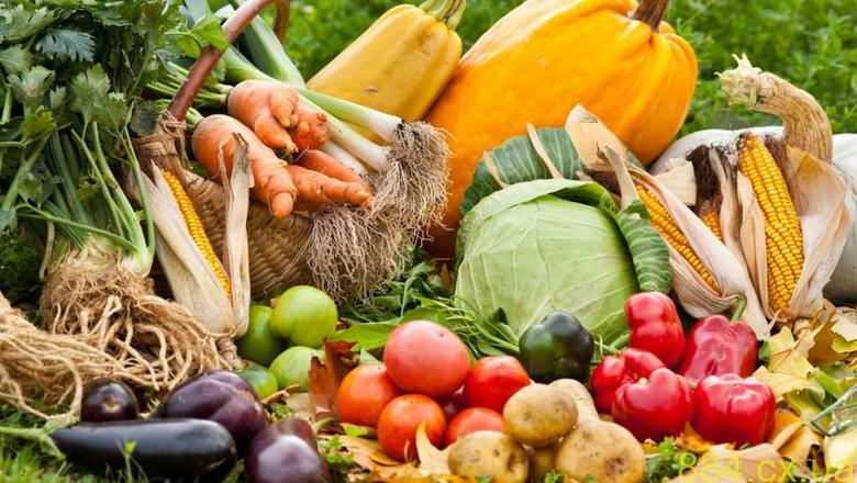 Якісне насіння та товари для рослин Якісне насіння та товари для рослин