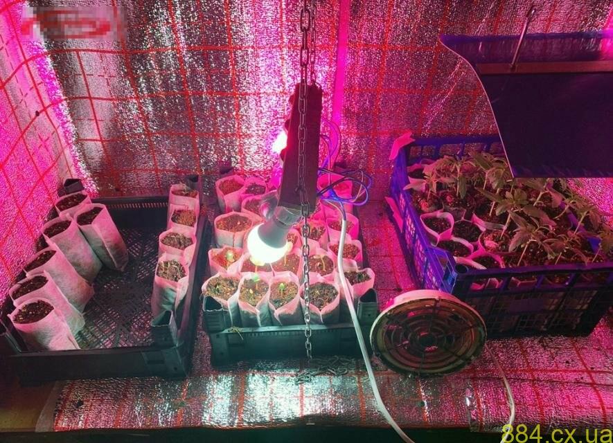 У Житомирі поліцейські затримали групу наркозбутчиків, — ФОТО, ВІДЕО У Житомирі поліцейські затримали групу наркозбутчиків, — ФОТО, ВІДЕО