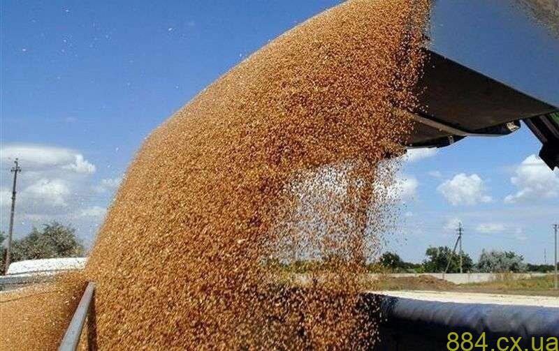 Жнива-2023: в Україні намолочено майже 23 млн тонн зернових Жнива-2023: в Україні намолочено майже 23 млн тонн зернових