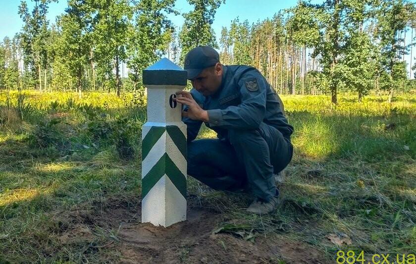 Квартальний стовпчик у лісі: навіщо вони й про що можна дізнатися, дивлячись на номер