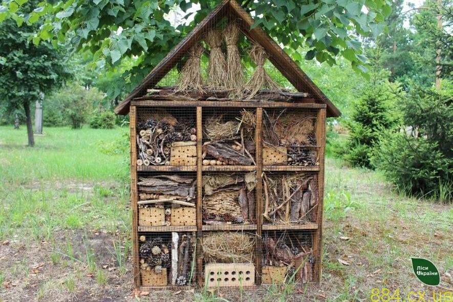Історія незвичайного будиночку для комах Історія незвичайного будиночку для комах