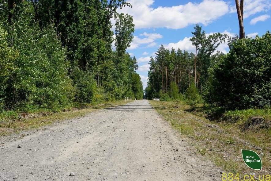 Нові транспортні артерії у лісах дозволять покращити лісозаготівлю та полегшити життя місцевих жителів громади Нові транспортні артерії у лісах дозволять покращити лісозаготівлю та полегшити життя місцевих жителів громади