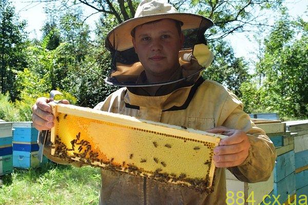 Смакувати літо в будь-яку пору: цікаве про найбільшу пасіку Житомирщини, — ФОТО Смакувати літо в будь-яку пору: цікаве про найбільшу пасіку Житомирщини, — ФОТО