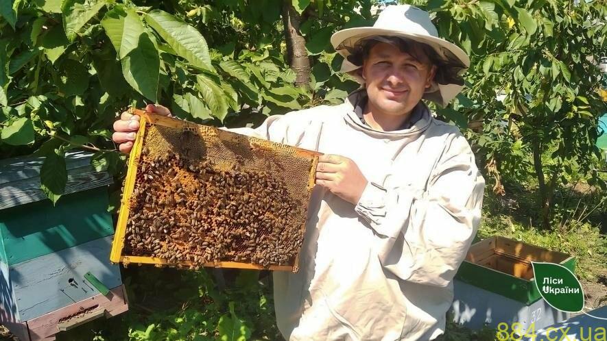 Продовжив справу діда та батька: пасічник Михайло Крижовець з Житомирщини вже 20 років займається бджільництвом Продовжив справу діда та батька: пасічник Михайло Крижовець з Житомирщини вже 20 років займається бджільництвом