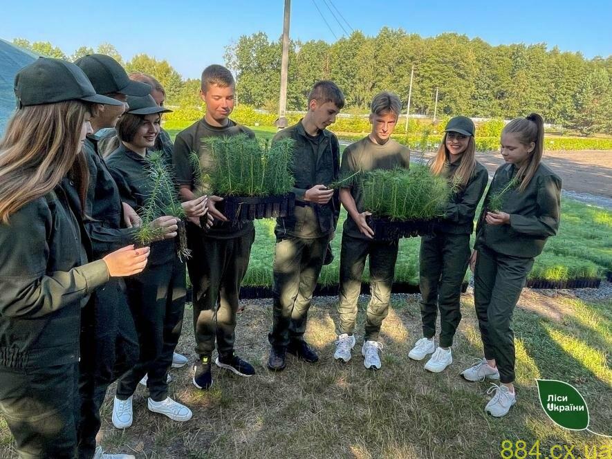 Закінчивши насичене літо, Звягельське шкільне лісництво повертається до роботи з вивчення лісу та догляду за ним