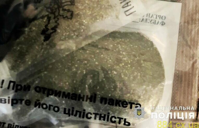 «Вирощував для власного вжитку»: на Житомирщині поліцейські вилучили з присадибної ділянки чоловіка наркотичні рослини «Вирощував для власного вжитку»: на Житомирщині поліцейські вилучили з присадибної ділянки чоловіка наркотичні рослини