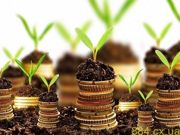 На Житомирщині прокурори розпочали процедуру повернення державі землі, раніше успадкованої росіянами та білорусами На Житомирщині прокурори розпочали процедуру повернення державі землі, раніше успадкованої росіянами та білорусами