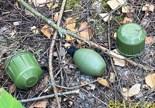 Житомирські поліцейські затримали підозрюваного у хуліганстві та викраденні людини Житомирські поліцейські затримали підозрюваного у хуліганстві та викраденні людини