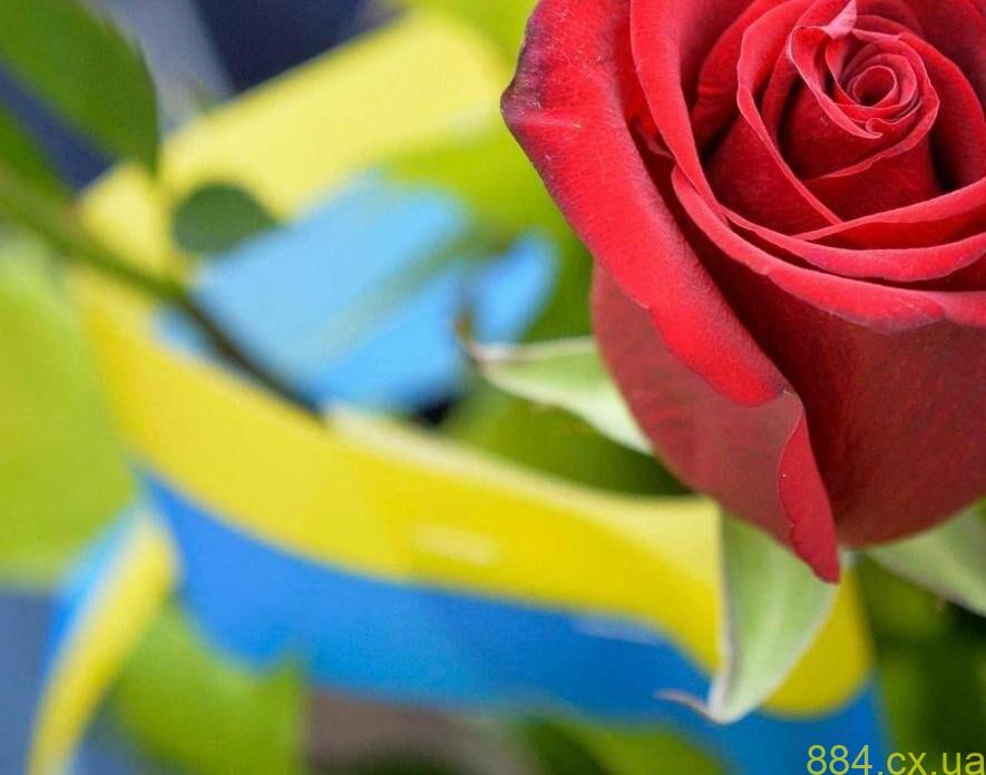 Олександр Кривизюк та Олександр Шалаєв: Житомир прощається із Захисниками Олександр Кривизюк та Олександр Шалаєв: Житомир прощається із Захисниками