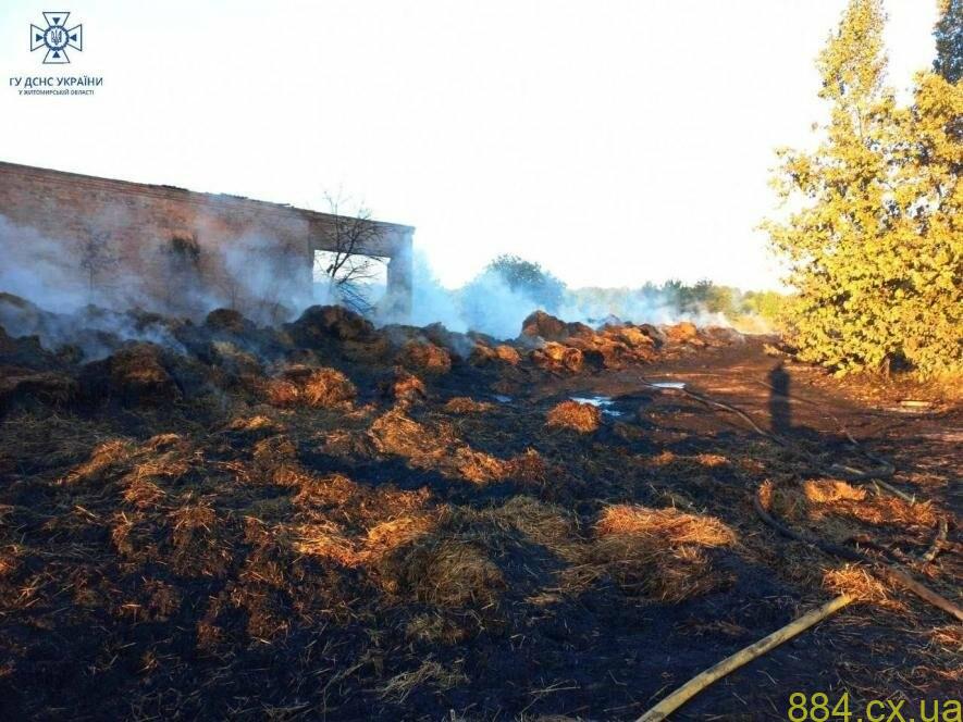 Минулої доби вогнеборці Житомирщини ліквідовували 8 загорянь в екосистемах