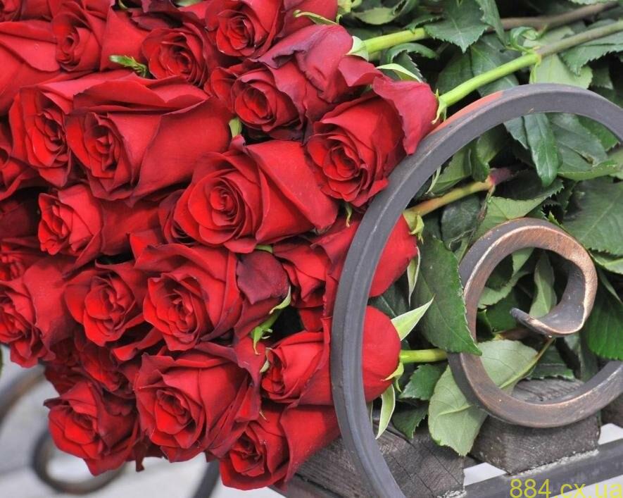 Житомир прощається: на щиті повернувся Герой Андрій Кузнецов Житомир прощається: на щиті повернувся Герой Андрій Кузнецов