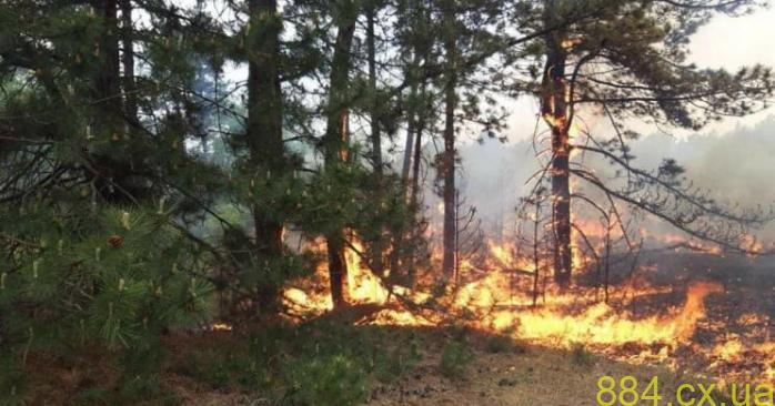Не підпалюйте рослинність на полі! Це може обернутися трагедією для лісів! Не підпалюйте рослинність на полі! Це може обернутися трагедією для лісів!