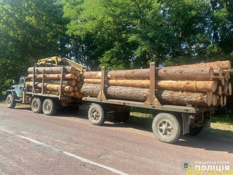 Поліцейські виявили незаконний вантаж з лісом на Овруччині