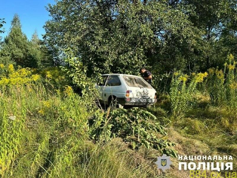 На Житомирщині поліцейські задокументували дві ДТП з нетверезими водіями