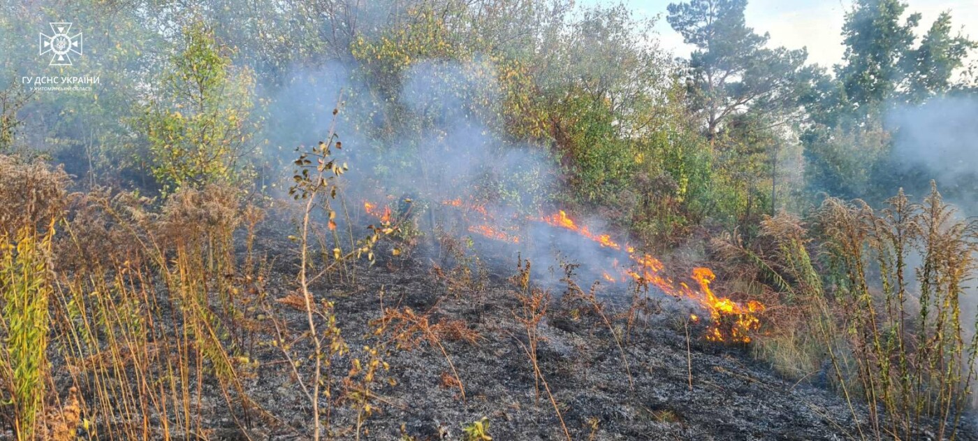 Житомирщина потерпає від паліїв сухостою: на Звягельщині горіла покрівля цегляної споруди