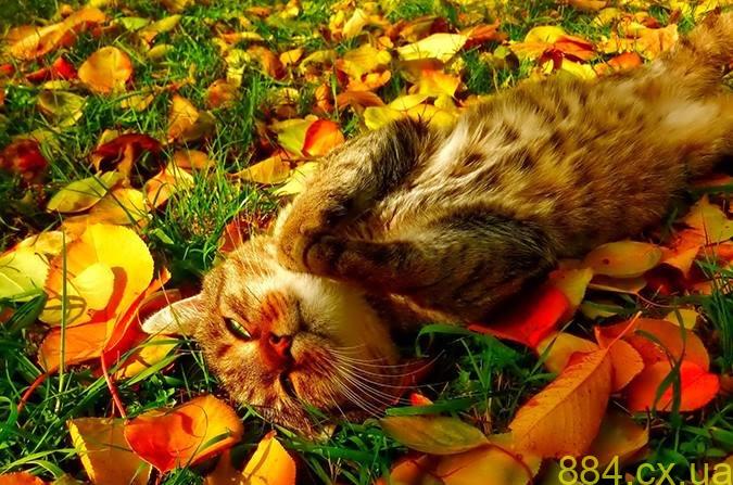 Різкий перепад температур: синоптики розповіли, яка погода буде вихідними на Житомирщині Різкий перепад температур: синоптики розповіли, яка погода буде вихідними на Житомирщині