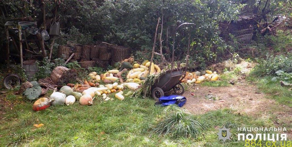 На Звягельщині зухвалець вкрав сумку та велосипед у літнього односельця просто на його очах На Звягельщині зухвалець вкрав сумку та велосипед у літнього односельця просто на його очах