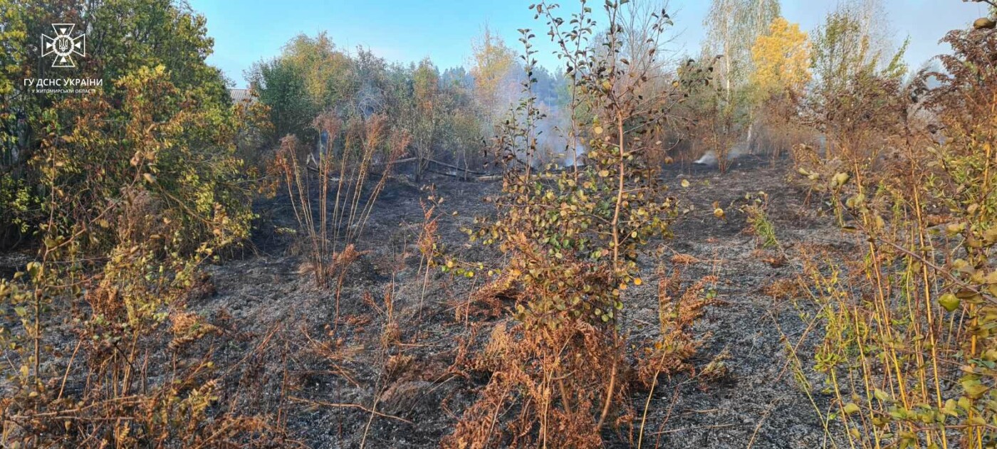 Житомирщина потерпає від паліїв сухостою: на Звягельщині горіла покрівля цегляної споруди