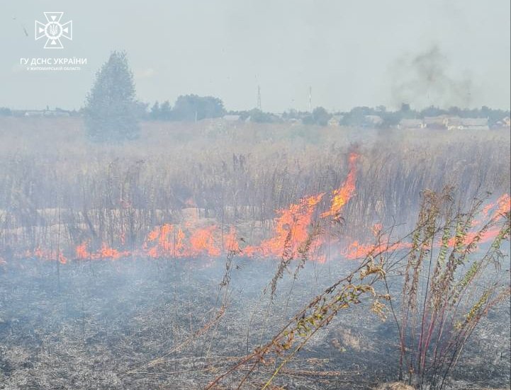 Житомирщина потерпає від паліїв сухостою: на Звягельщині горіла покрівля цегляної споруди