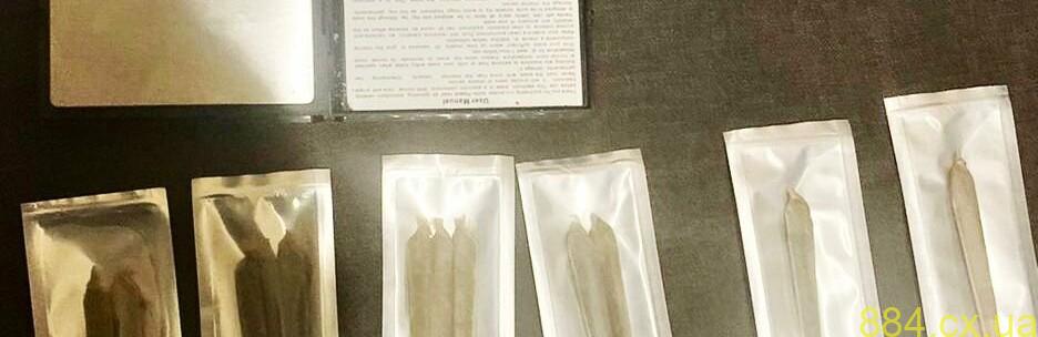 Поліція затримала у Житомирі 17-річного наркодилера Поліція затримала у Житомирі 17-річного наркодилера