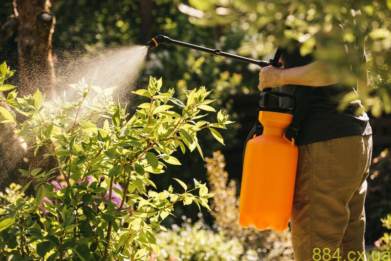 Опрыскиватели для сада и огорода: виды, выбор и уход Опрыскиватели для сада и огорода: виды, выбор и уход