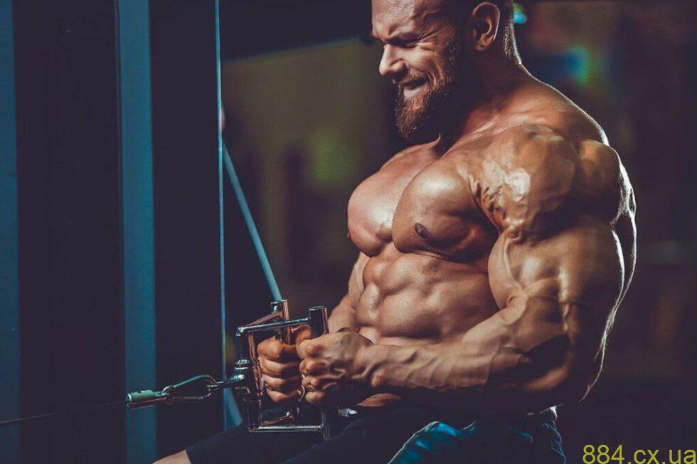 Болденон в Украине: что нужно знать перед выбором Болденон в Украине: что нужно знать перед выбором