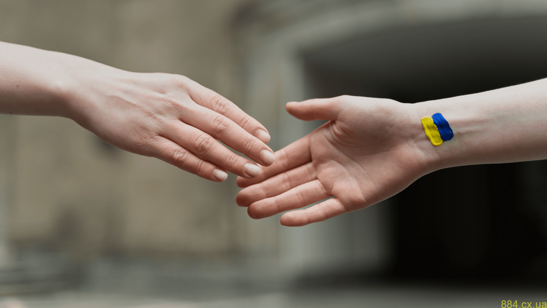 Міжнародний благодійний фонд: волонтерство та підтримка оборони України